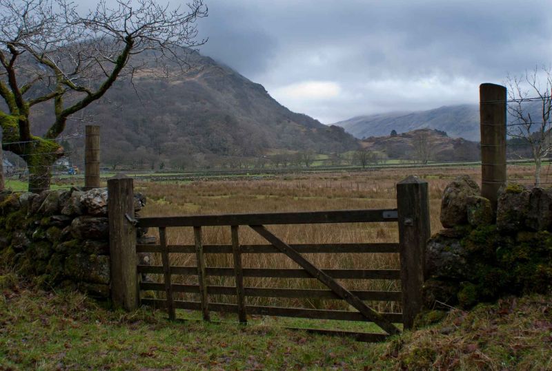 gate.jpg